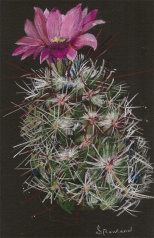 cactus flower copy